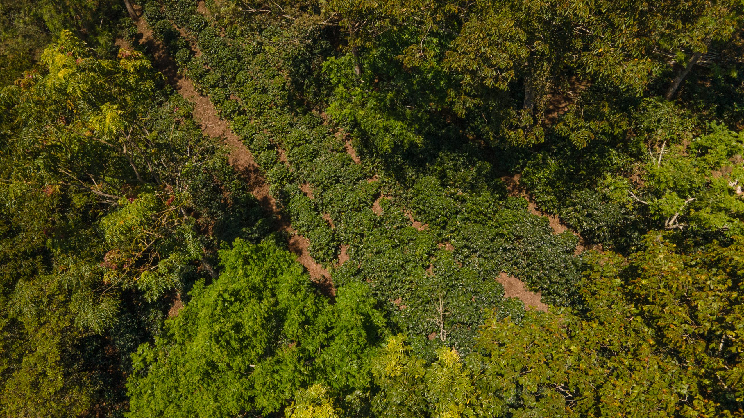 MDH-Solidaridad-2023-03-Drone-08 (1)