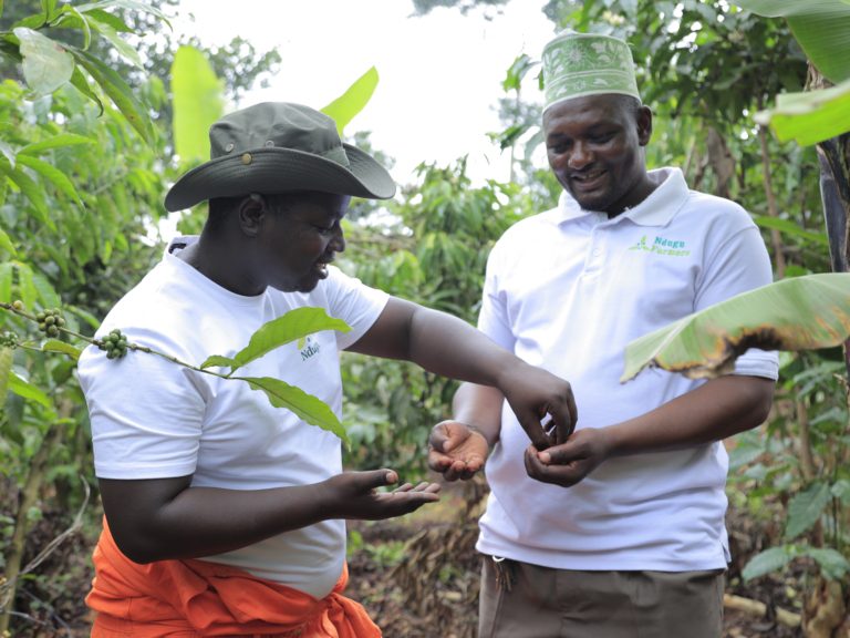 Fairfood, Ndugu and Solidaridad piloted a new approach to help companies meet their Scope 3 emissions targets in a transparent, verifiable way. A new case study shares early insights from the pilot, and explores the value for businesses working towards truly sustainable supply chains.