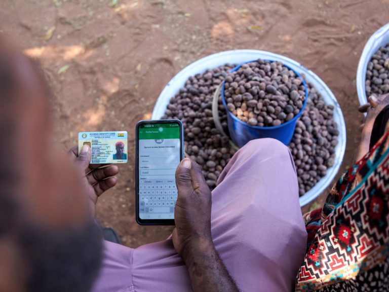 Fairfood and Sommalife: A mission to improve shea sustainability